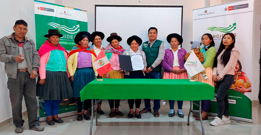 Cofinanciarán tecnologías para fortalecer la producción de quinua y cuyes Apurímac Perú