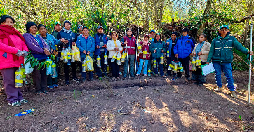Cusco intensifica acciones de vigilancia y control integrado de la mosca de la fruta