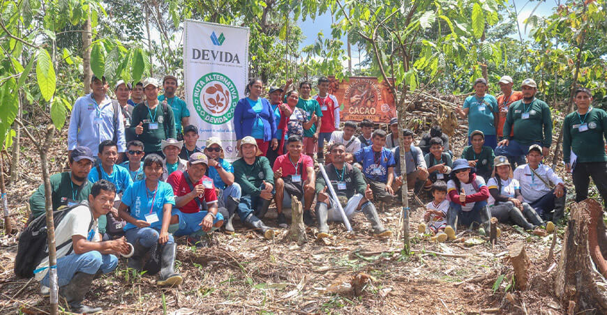 Devida capacita a 60 injertadores para mejorar la producción de cacao de 868 familias Loreto Perú