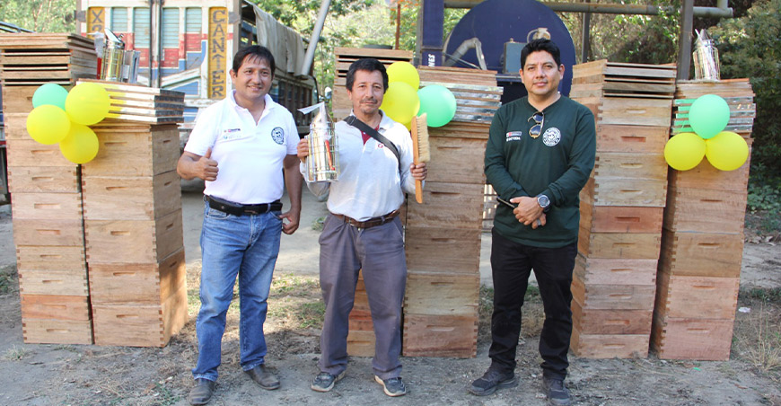 familias apicultoras reciben 2500 colmenas y proyectan producir 50 toneladas de miel Cusco Perú Devida