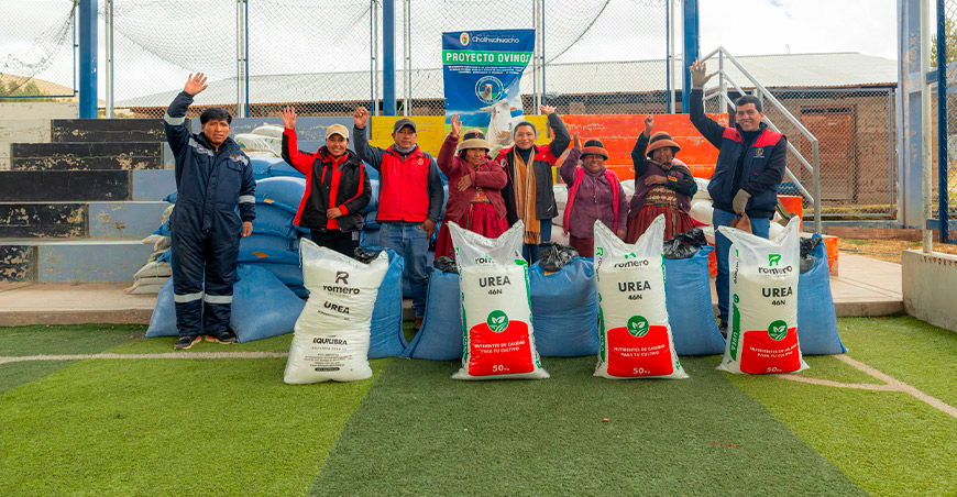 Distribuyen semillas para garantizar la alimentación de ovinos en Challhuahuacho Apurímac Perú