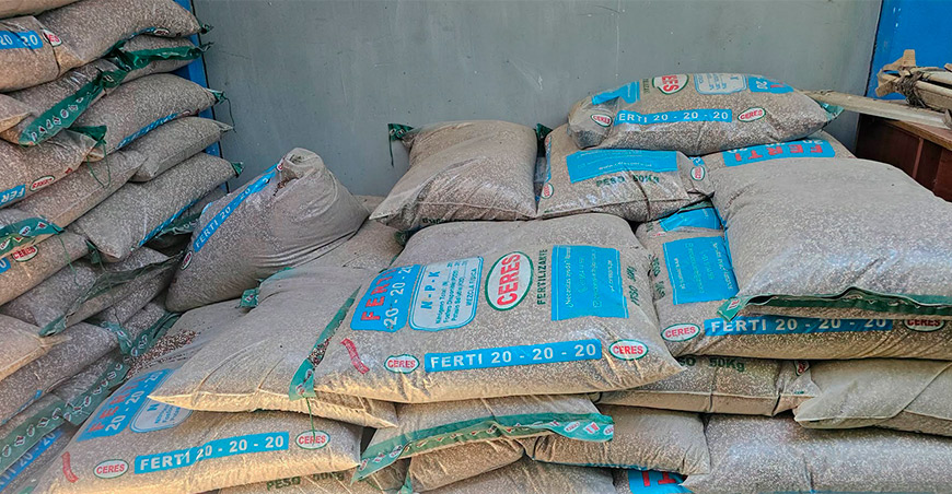 productores de Kumpirushiato mejoran su producción de cacao fino de aroma Cusco Perú