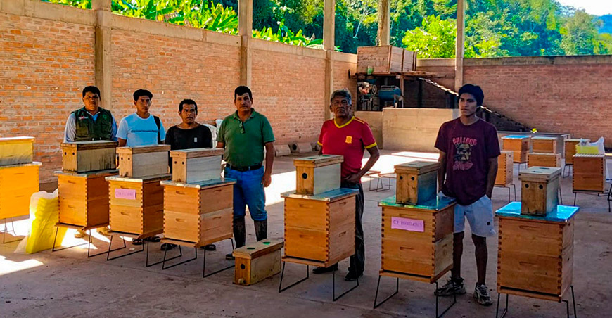 Mejoran la producción de palto y cítricos en Río Tambo con actividad apícola Río Tambo Junín Perú