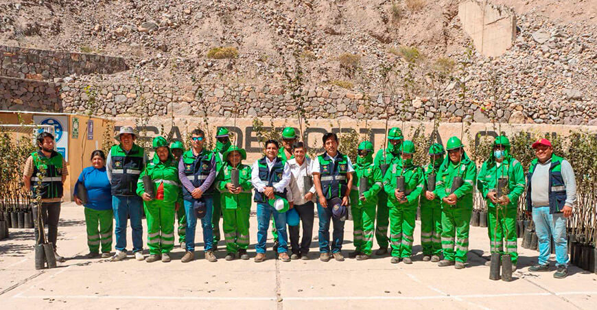 Entregaron 900 plantones de pera perilla a productores de Chululuni Tacna Perú