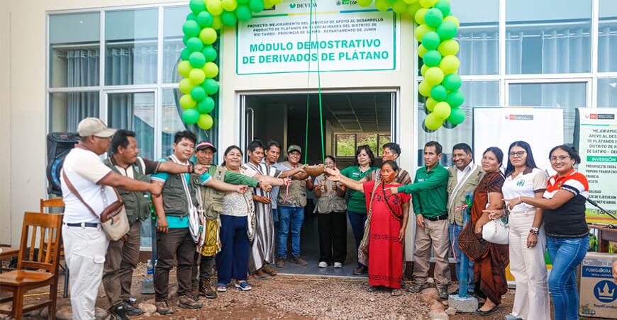 Familias asháninkas del Vraem transformarán el plátano en chifles, harina y otros productos Junín Perú Devida
