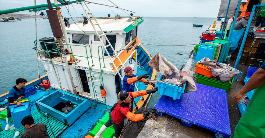 Fenómeno El Niño amenaza la biodiversidad marina y pone en riesgo actividades económicas clave del Perú