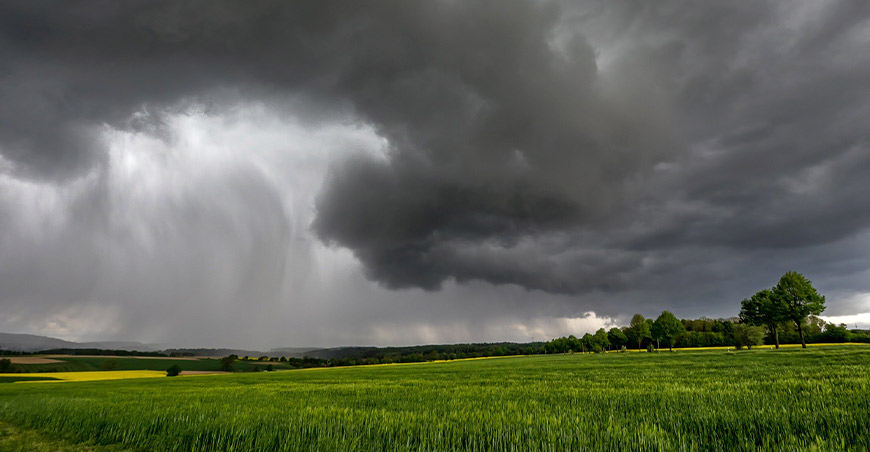 El agro peruano se prepara para enfrentar los desafíos de El Niño y sostener su crecimiento exportador
