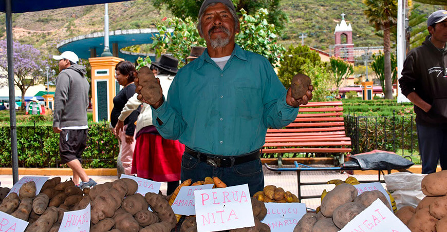 Provincia de Fajardo reunirá a productores en su XXVII Feria Provincial