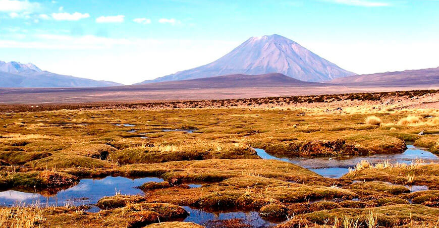 Bofedales humedales Perú