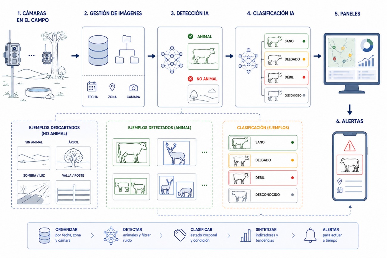 Cámaras e inteligencia artificial para cuidar mejor del ganado y la fauna