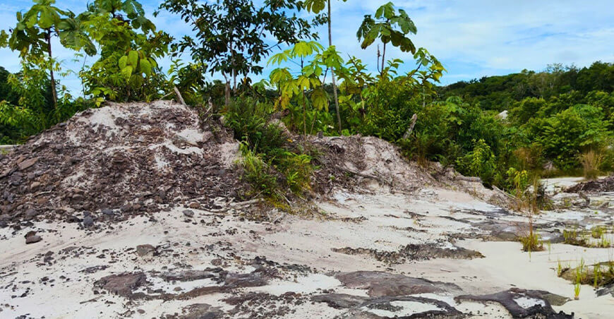 IIAP propone restaurar varillales degradados por la extracción de arena mediante “islas de fertilidad”