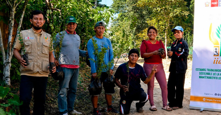 Más de 420 familias incorporan nuevas especies a sus parcelas agroforestales en Ucayali con el impulso del IIAP