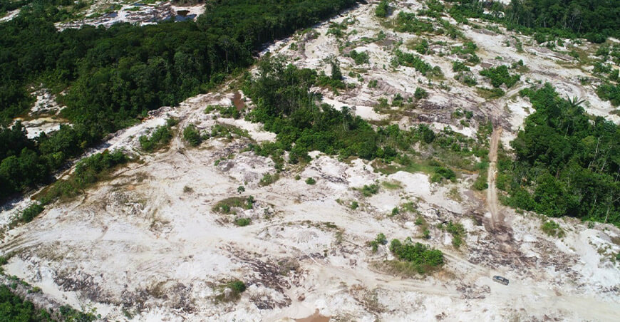 IIAP propone restaurar varillales degradados por la extracción de arena mediante “islas de fertilidad”
