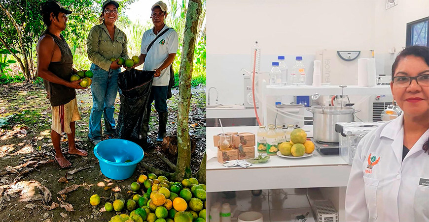 IIAP desarrolla tecnologías para aprovechar excedentes y subproductos de frutas amazónicas Perú