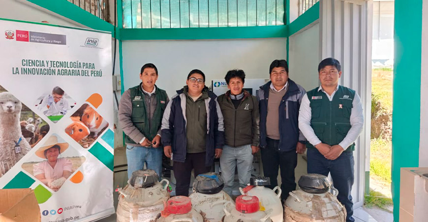 INIA entrega semen de alta calidad genética para mejorar el ganado vacuno en Haquira Apurímac Perú