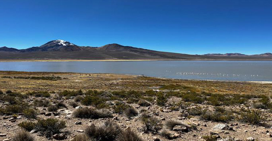 Identifican zonas prioritarias para conservar turberas y bofedales altoandinos en Tacna Perú Minam