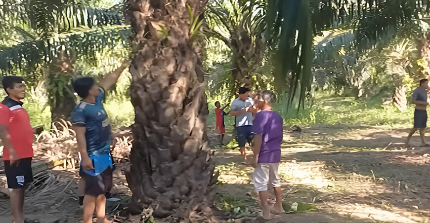 Latina Noticias destaca desarrollo de comunidades nativas por la palma aceitera Ucayali Perú