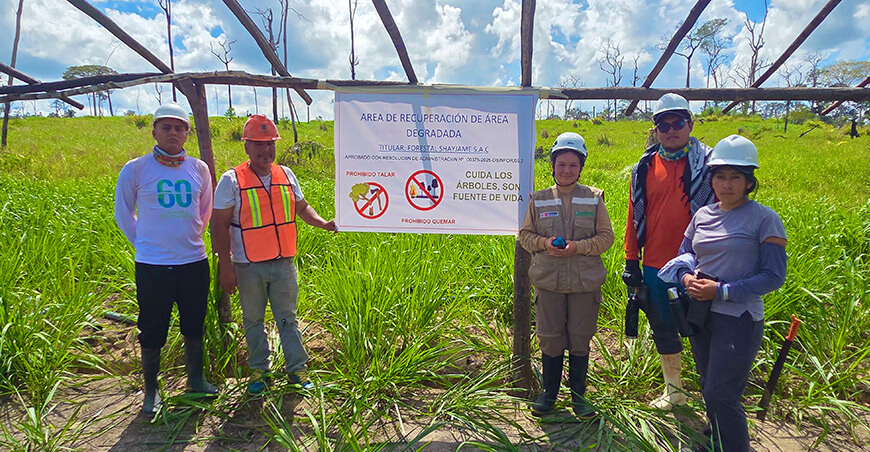 Proyectan recuperar más de 37 hectáreas de áreas degradadas en Madre de Dios
