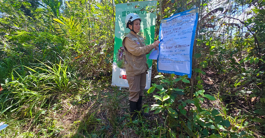 Proyectan recuperar más de 37 hectáreas de áreas degradadas en Madre de Dios