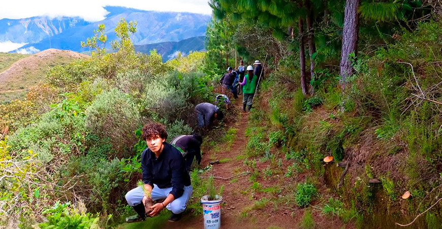 Reforestación con más de 480 000 plantones protegerá la cuenca del río Huancabamba PEOT Perú