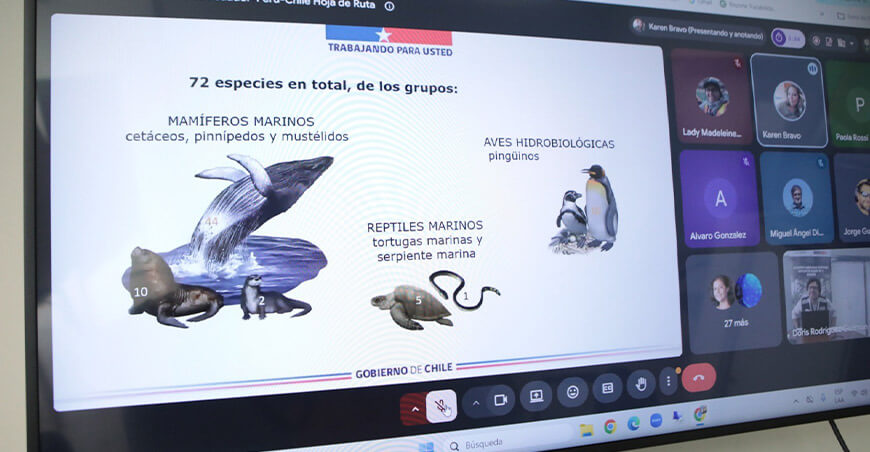 Ecuador, Chile y Perú coordinan acciones frente al impacto de El Niño en la fauna silvestre marina
