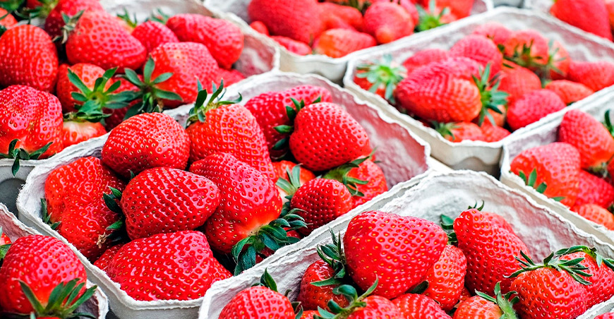 Perú exportación fresas peruanas