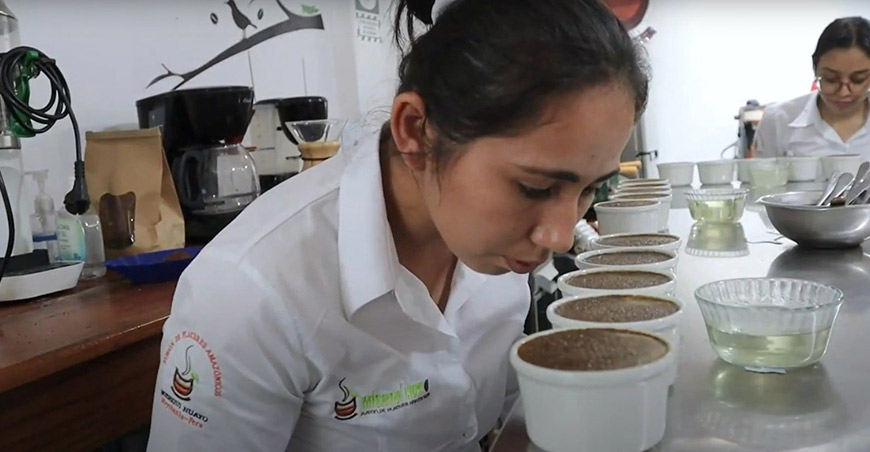 Cinco iniciativas innovadoras que transforman la cadena productiva del café con apoyo de Produce