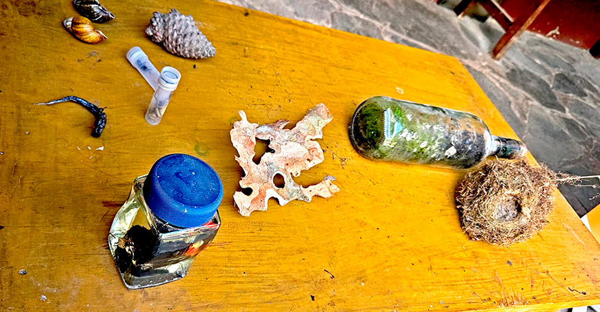 Ecotrueque promueve el uso de abonos orgánicos para conservar el Santuario Nacional de Ampay Apurímac Perú Sernanp