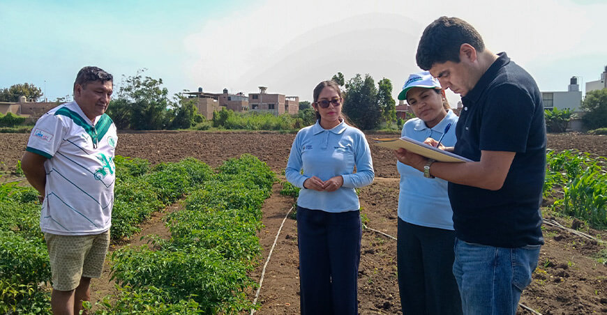 P.E. Chavimochic abre nueva vitrina digital para productores de Moche La Libertad Perú