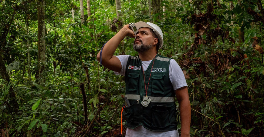 Serfor y CIP impulsarán la investigación y formación de profesionales del sector forestal