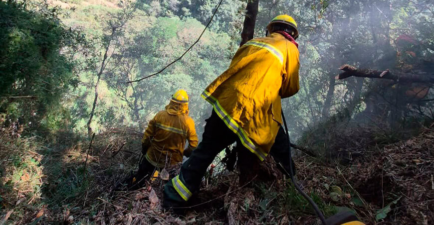Sernanp intensifica acciones en áreas naturales protegidas para prevenir incendios forestales