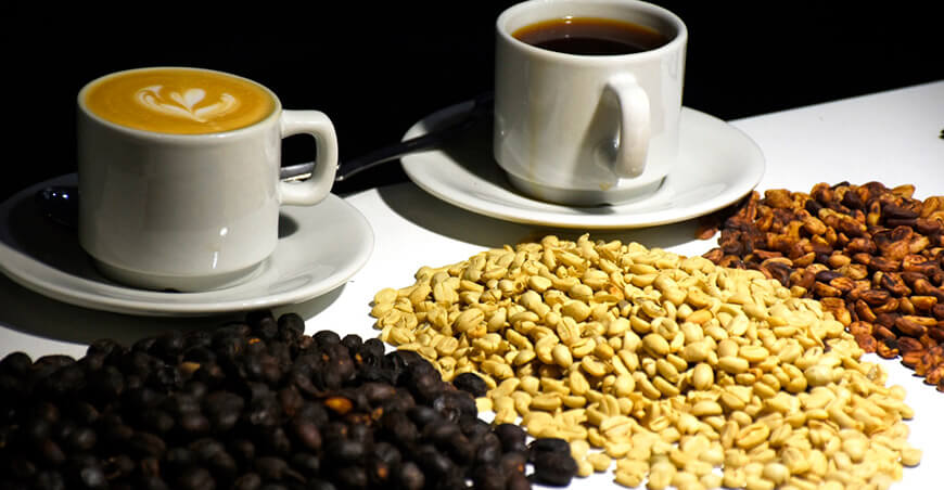 Lima será sede del lanzamiento de la Subasta Internacional de Café, Cacao y Chocolate “Grano de Oro 2026”
