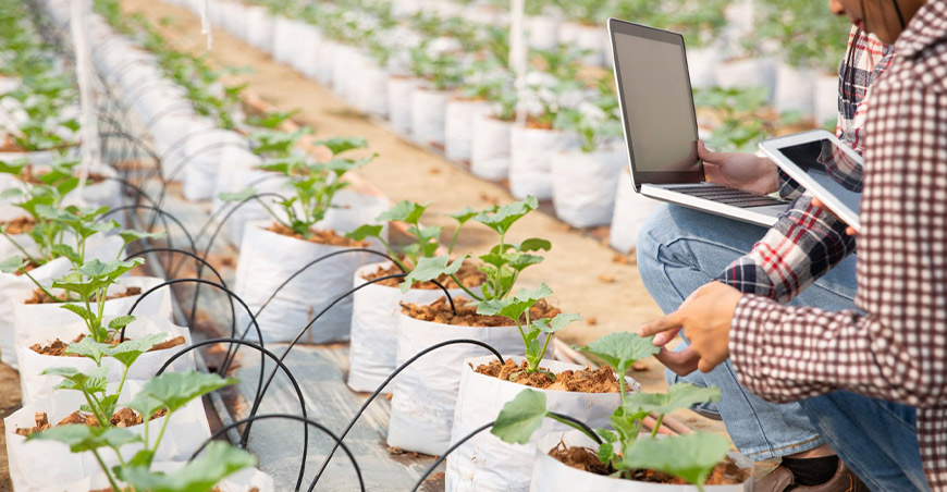 la tecnología agrícola para la adaptación al cambio climático es clave para proteger al sector Perú