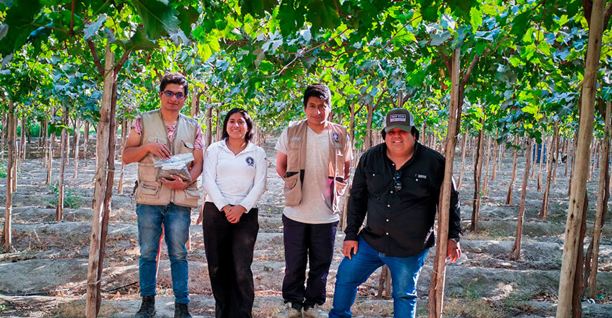 UNTRM y Bee Natural avanzan en investigación aplicada para la agroexportación en uvas y espárragos Perú