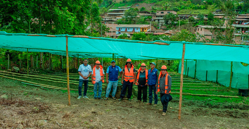 Ponen a disposición vivero de Montero para producir plantones de frutales Piura Perú