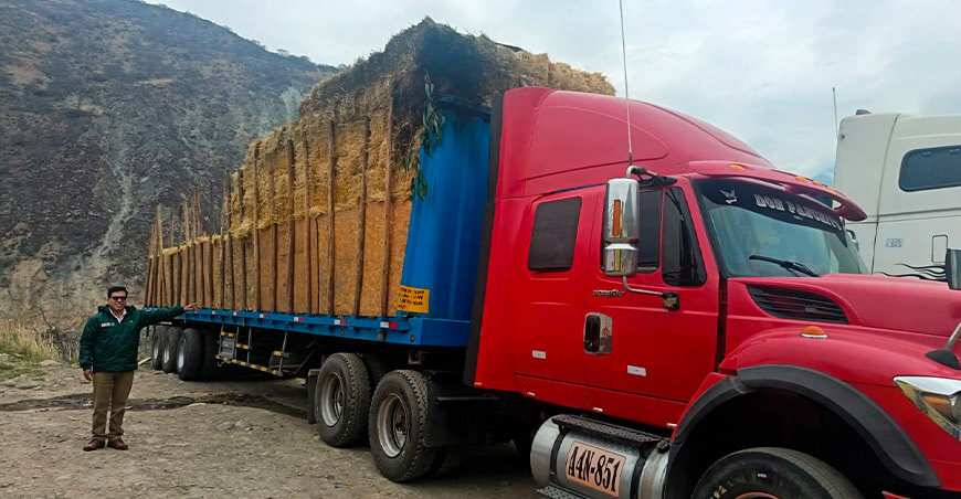 Agro Rural entrega pacas 67 toneladas de pacas de heno a 670 ganaderos de Antabamba Apurímac Perú