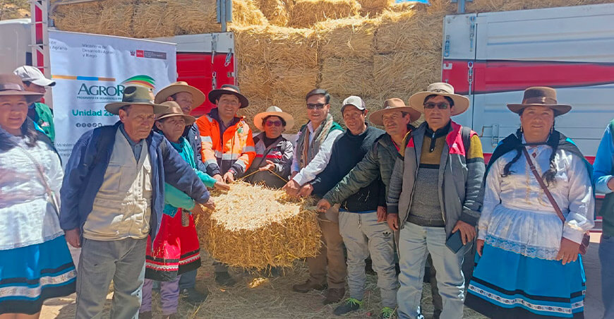 Agro Rural entrega pacas 67 toneladas de pacas de heno a 670 ganaderos de Antabamba Apurímac Perú