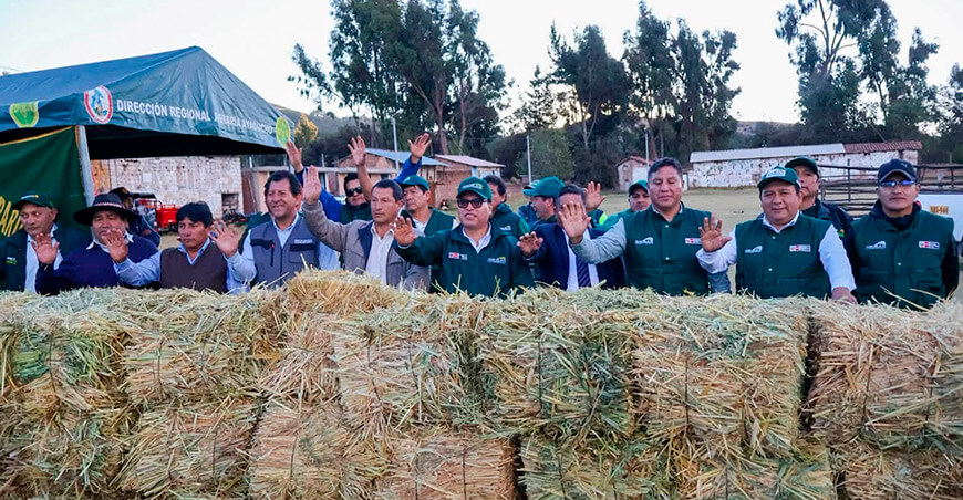 Agro Rural entregó pacas heno a ganaderos Ayacucho Perú