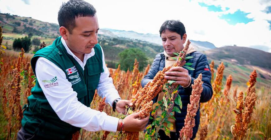 Agroideas capacitación productor quinua Perú