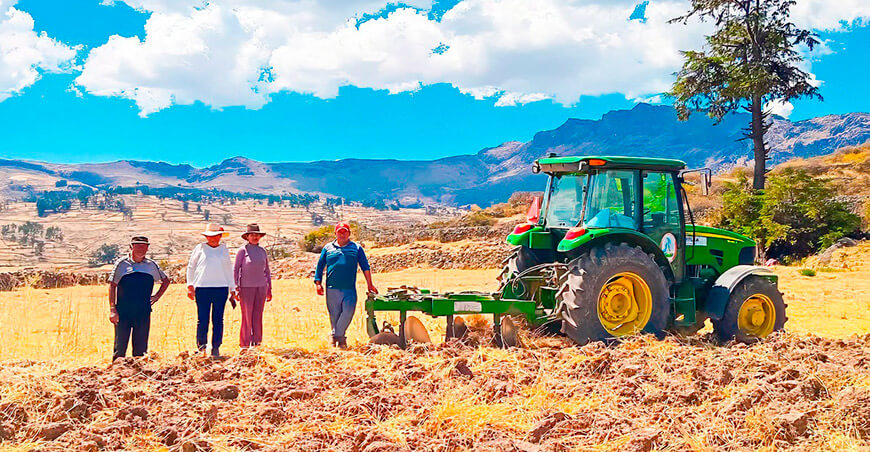ganaderos alistan hectáreas para instalar pastos y forrajes en Parinacochas Ayacucho Perú 