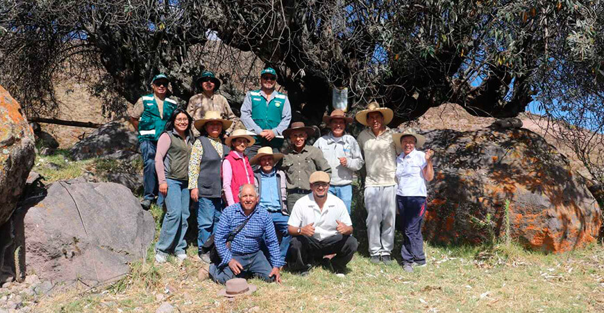 Condesuyos suma nuevos árboles patrimoniales de quishuar Arequipa Perú Serfor