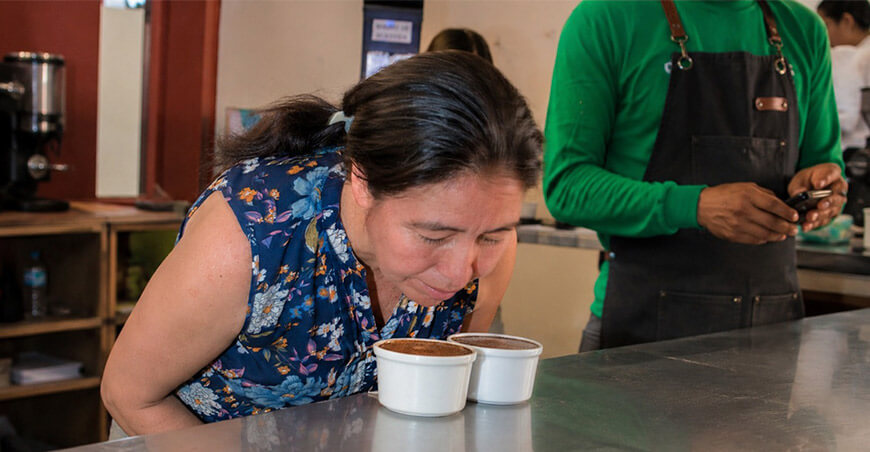 Subasta de cafés especiales de Satipo Junín Perú