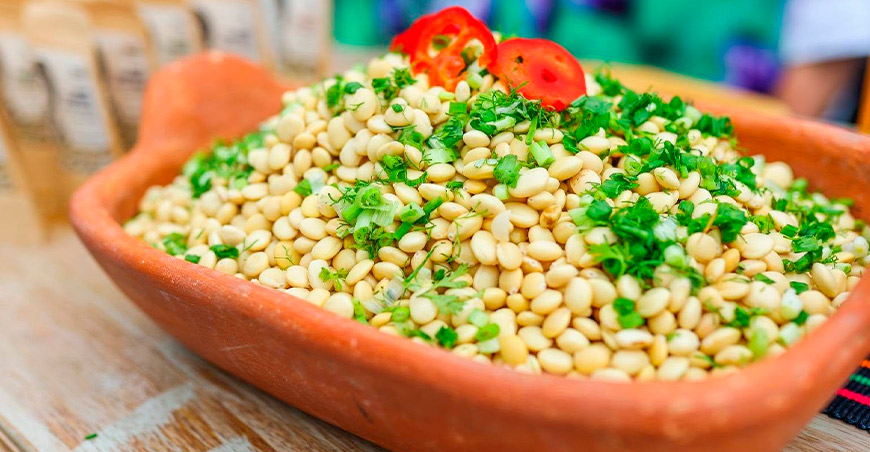 cevichocho ancashino