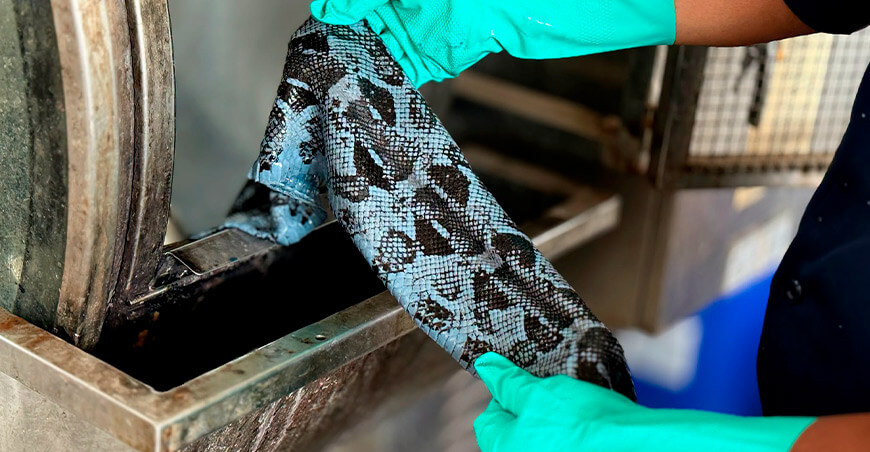 Convierten la piel exótica en una nueva oportunidad para crear productos con mayor valor agregado sector cuero y calzado CITEccal Trujillo ITP Perú