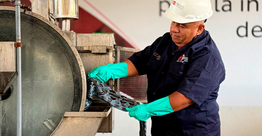 Convierten la piel exótica en una nueva oportunidad para crear productos con mayor valor agregado sector cuero y calzado CITEccal Trujillo ITP Perú