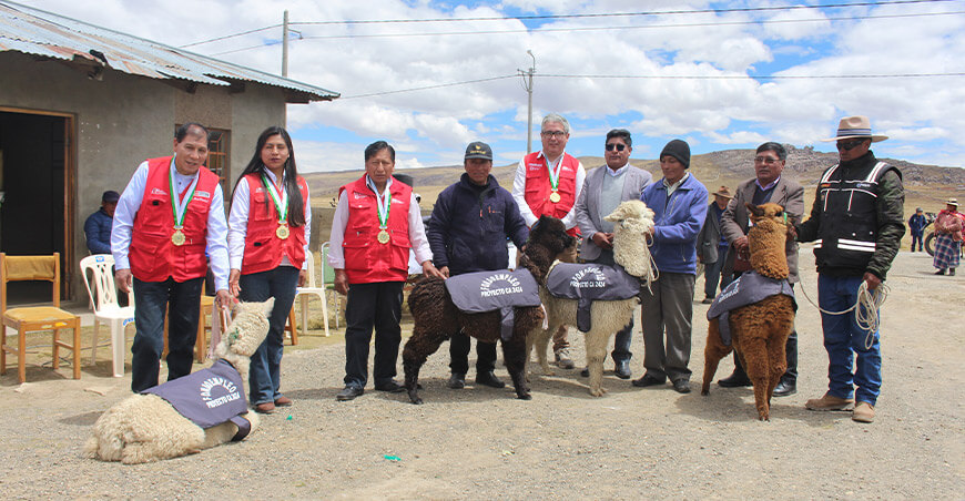 CITEtextil Camélidos Puno entregaron 1000 chalecos térmicos a 200 productores alpaqueros de Cojata Puno Perú