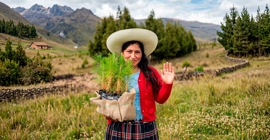 Serfor desarrolla estándar para certificar competencias laborales en plantaciones forestales Perú