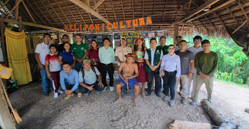 Abejas nativas abren nuevas oportunidades para familias de comunidad nativa de Ebrón Meliponario Kurikam Amazonas ´Perú Devida
