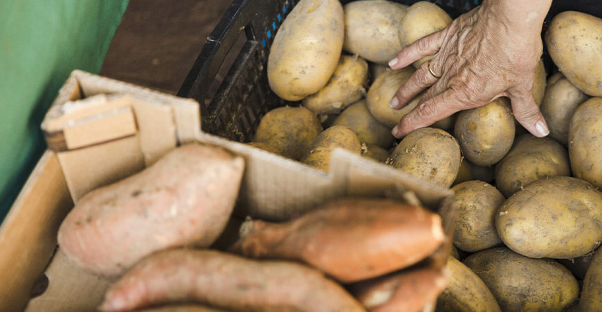 pérdidas de alimentos