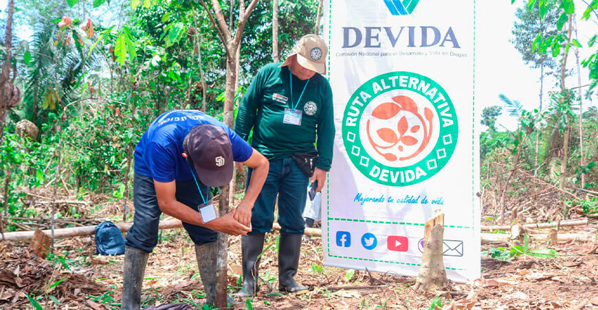con cooperación entre Devida y el BID familias accederán a actividades innovadoras de desarrollo alternativo Loreto Perú